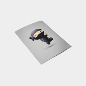 Alternative view of Flying Ninja