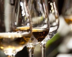 Alternative view of Weekend Wine Course